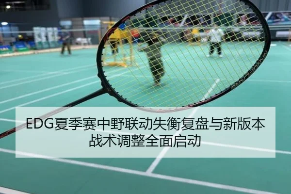 EDG夏季赛中野联动失衡复盘与新版本战术调整全面启动