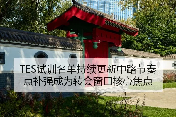 TES试训名单持续更新中路节奏点补强成为转会窗口核心焦点